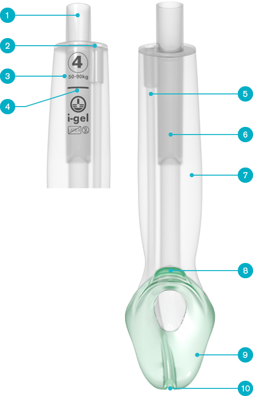 i-gel ® features and benefits