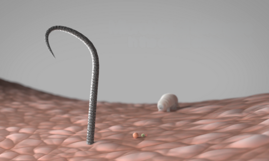 Intersurgical - Hydro-Guard™ range - pleated membrane filter